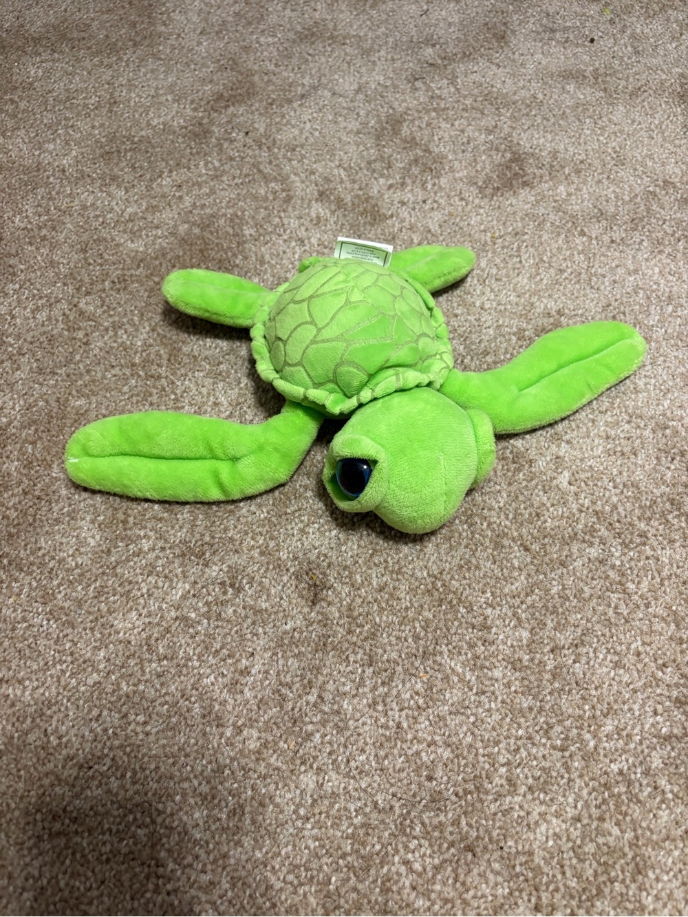 Sea Turtle Stuffed Animal